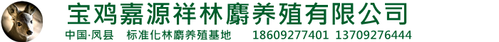 企业通用模版网站